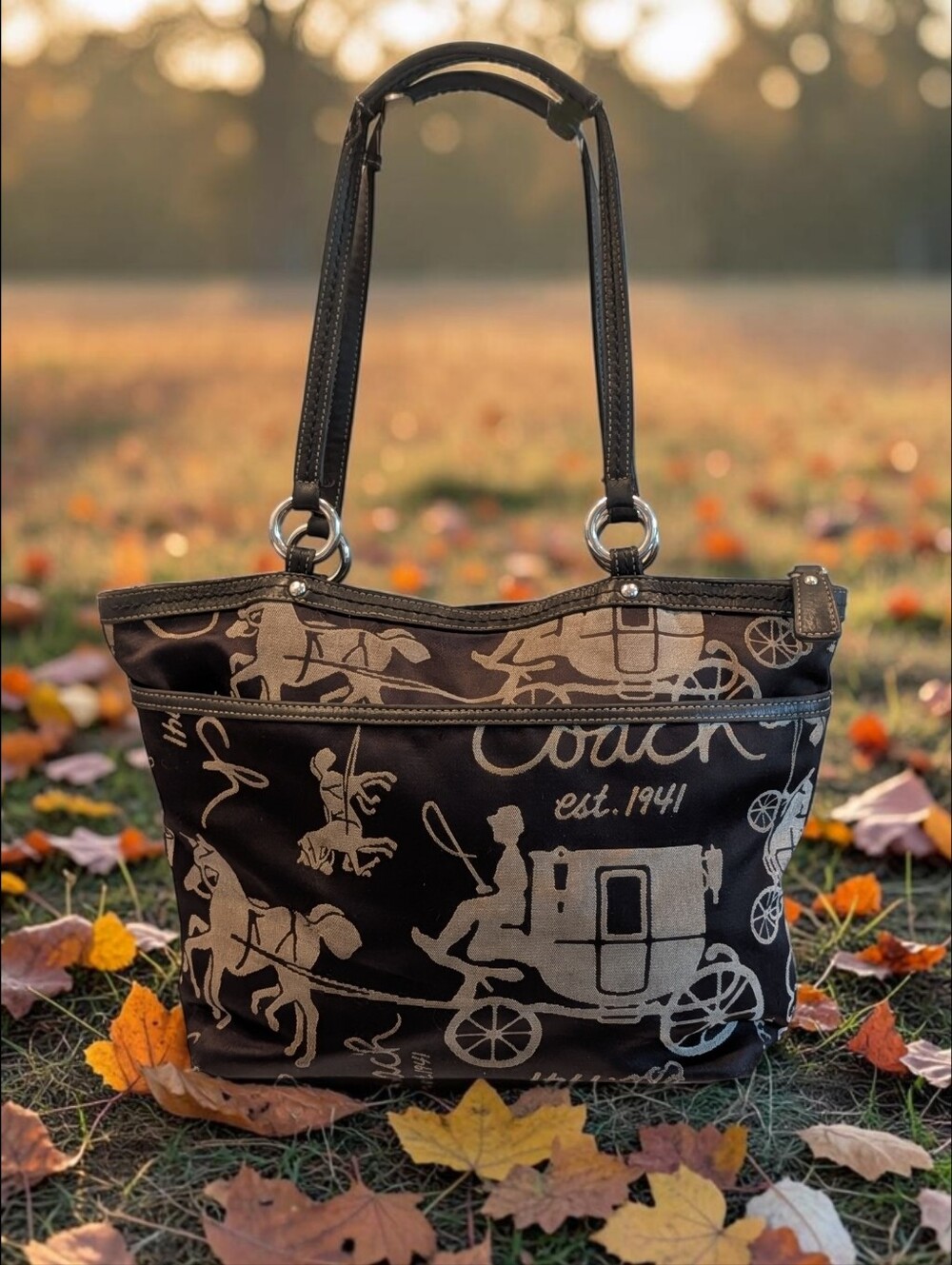 Coach Horse and Carriage Pleated Canvas Satchel PROJECT BAG - Picture 2 of 14